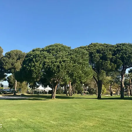 Отель Club Le Plein Sud Bleues Йер