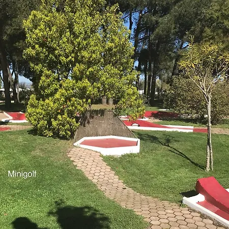 Club Le Plein Sud Bleues